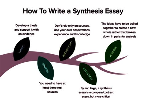 what is the point of a synthesis essay: exploring the various perspectives on this form of academic writing